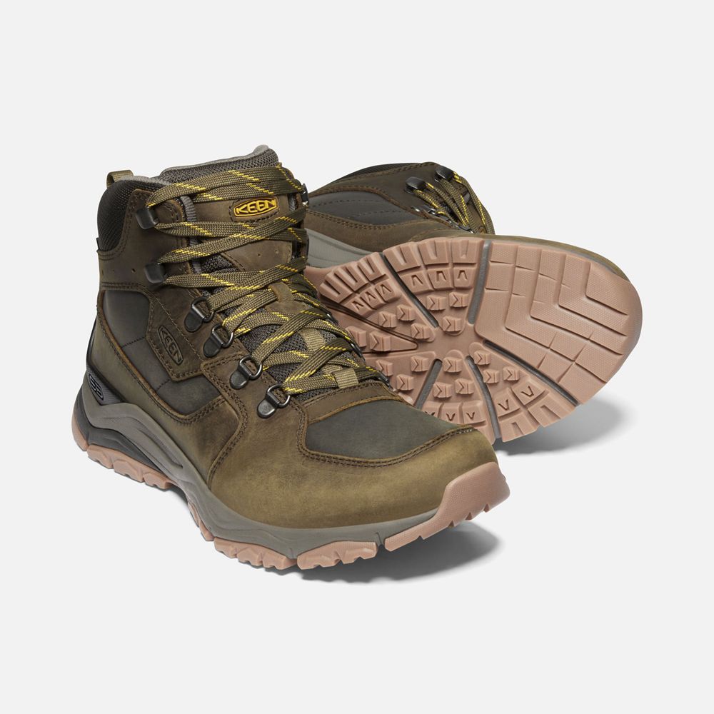 Bottes de Randonnée Keen Homme Vert Olive | Innate Cuir Waterproof | TFVGP-5908